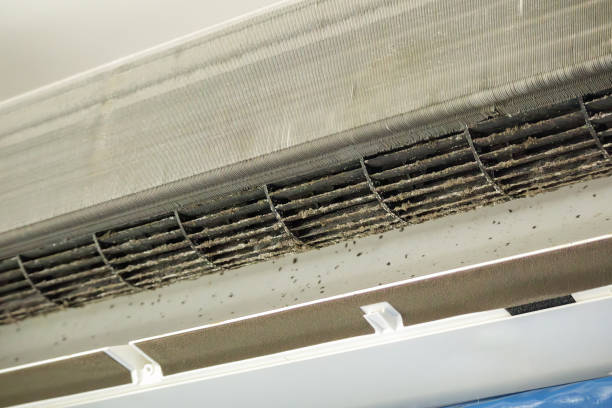Best HVAC Maintenance and Cleaning  in Wenatchee, WA